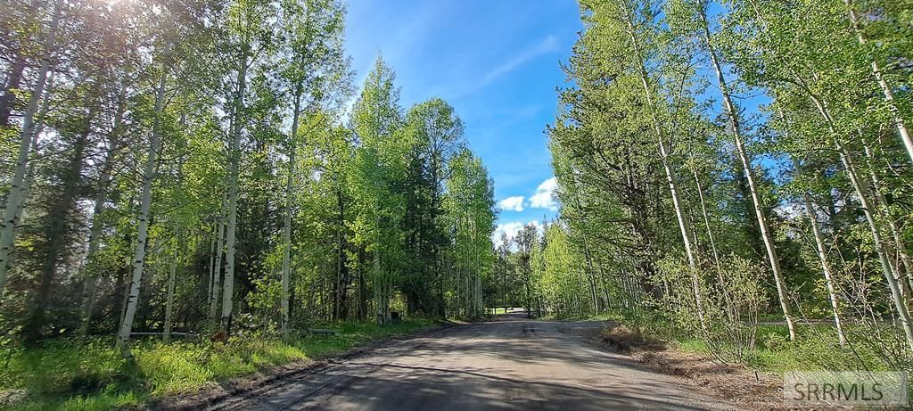 Image 63 of property listing at 4376 Granite Ridge, Ashton, ID 83420