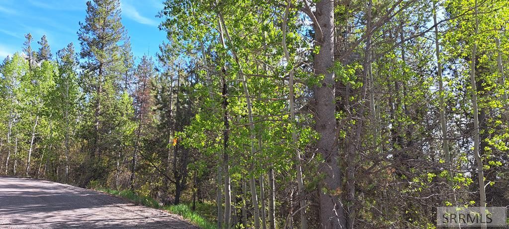 Image 7 of property listing at 4376 Granite Ridge, Ashton, ID 83420