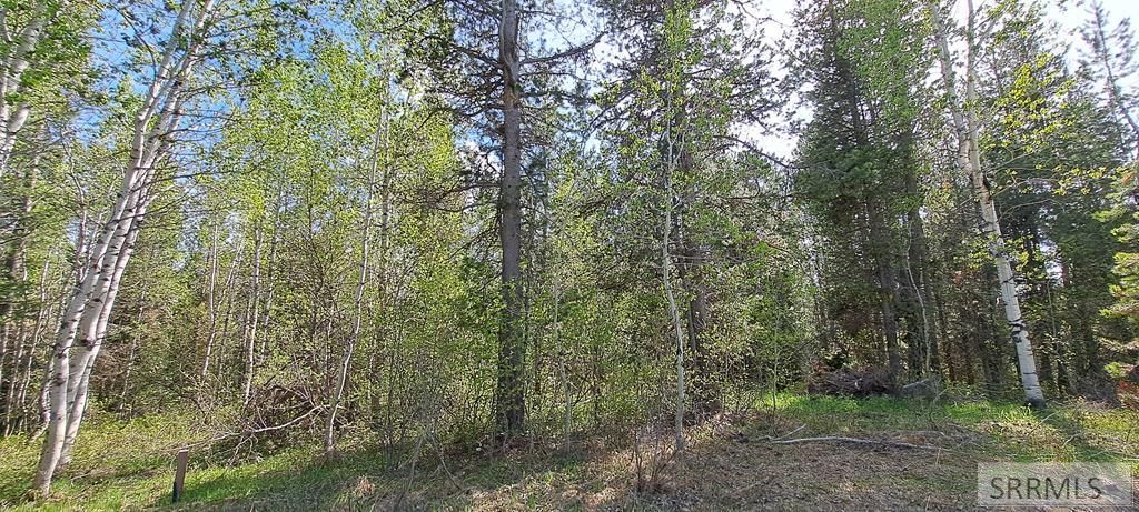 Image 8 of property listing at 4376 Granite Ridge, Ashton, ID 83420