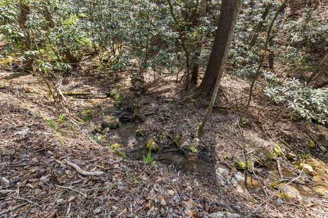 487 Walkabout Creek Road, Morganton, GA 30560
