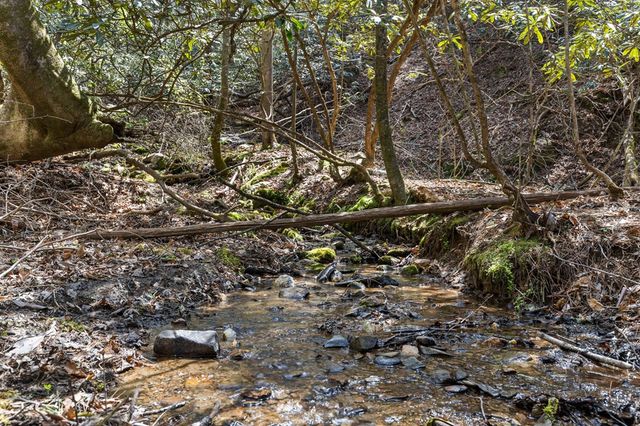 487 Walkabout Creek Road, Morganton, GA 30560