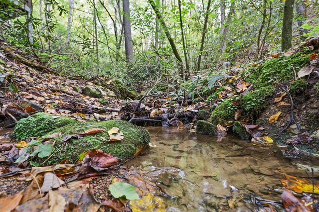 487 Walkabout Creek Road, Morganton, GA 30560
