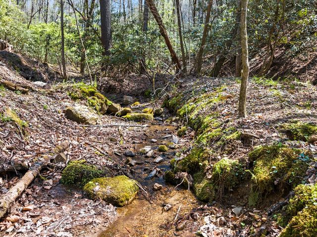 487 Walkabout Creek Road, Morganton, GA 30560