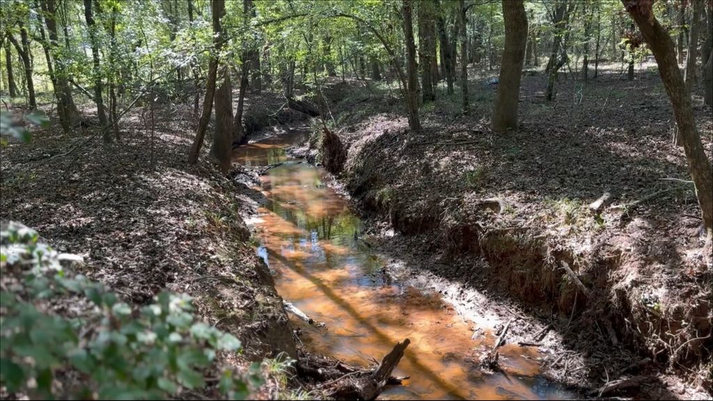 TBD-D County Road 4172D, Laneville, TX 75667