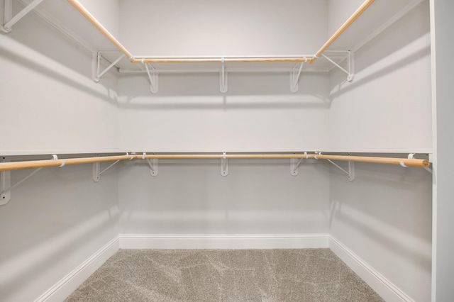 5401 Zephyr Lane, Willis, TX 77318