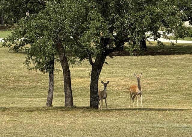 TBD Cloudwood Ranch RD, Briggs, TX 78608