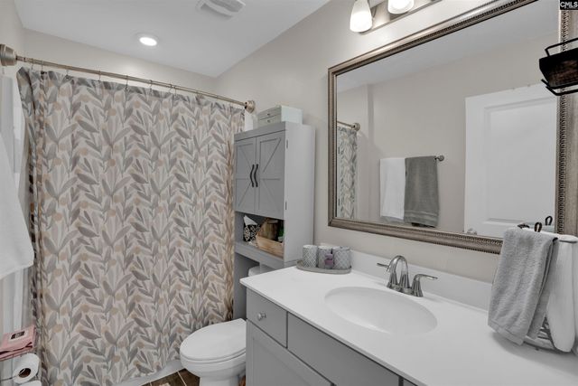 348 Amalfi Drive, Chapin, SC 29036