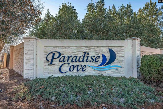 348 Amalfi Drive, Chapin, SC 29036