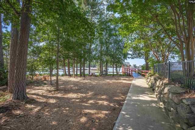 348 Amalfi Drive, Chapin, SC 29036