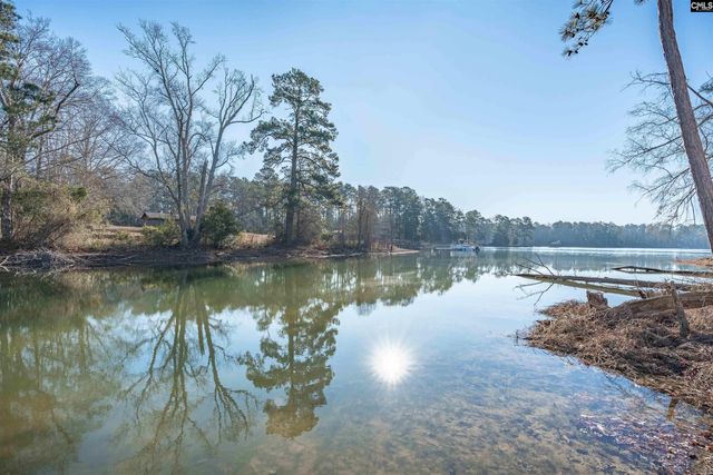 348 Amalfi Drive, Chapin, SC 29036