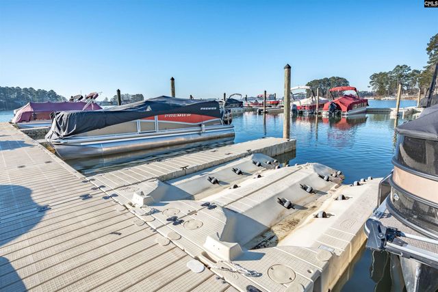 348 Amalfi Drive, Chapin, SC 29036