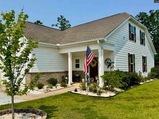 348 Amalfi Drive, Chapin, SC 29036