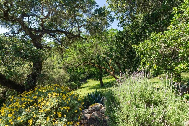 1835 San Ramon Way, Santa Rosa, CA 95409