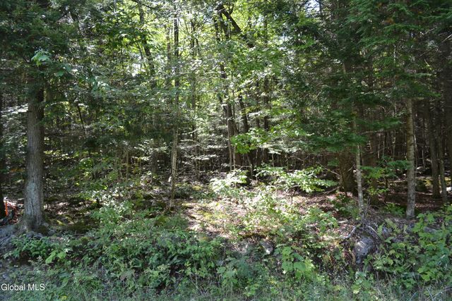 9 Diamond RIdge Road, Bolton, NY 12814