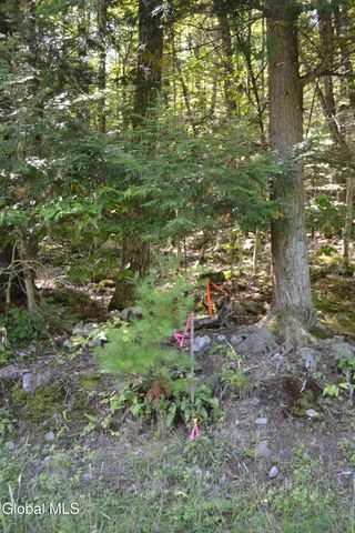 9 Diamond RIdge Road, Bolton, NY 12814