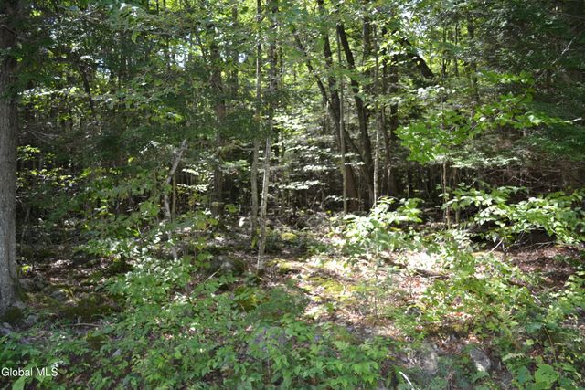 9 Diamond RIdge Road, Bolton, NY 12814