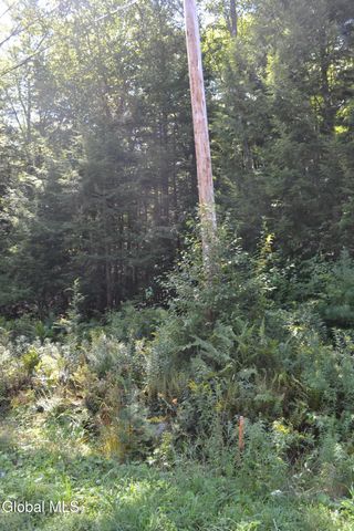 9 Diamond RIdge Road, Bolton, NY 12814