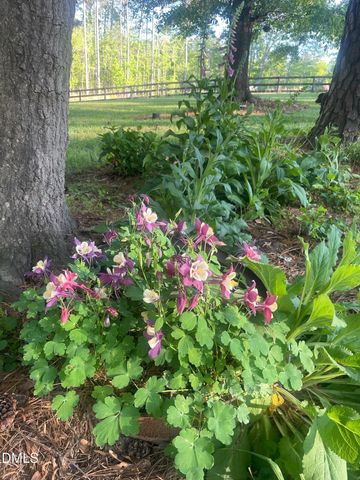 816 Nc Highway 751, Apex, NC 27523