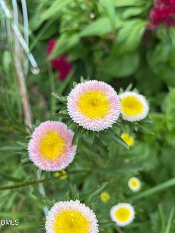 816 Nc Highway 751, Apex, NC 27523