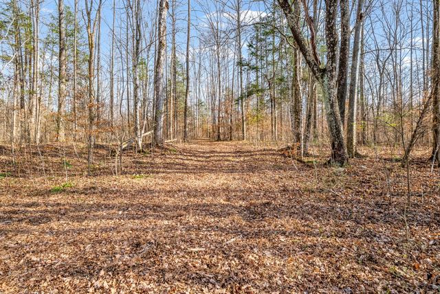 4219 Hwy 49, Tennessee Ridge, TN 37178