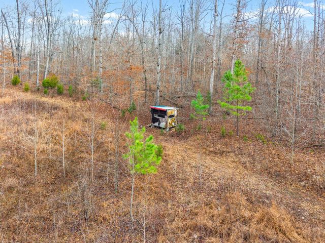 4219 Hwy 49, Tennessee Ridge, TN 37178