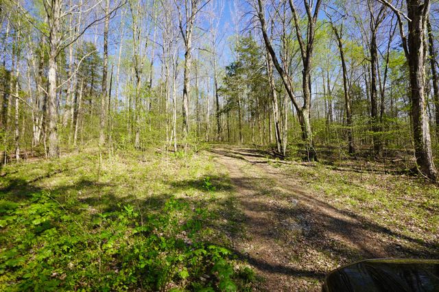 4219 Hwy 49, Tennessee Ridge, TN 37178
