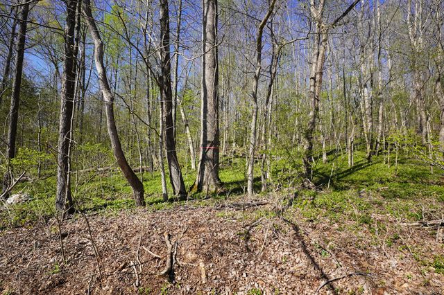 4219 Hwy 49, Tennessee Ridge, TN 37178