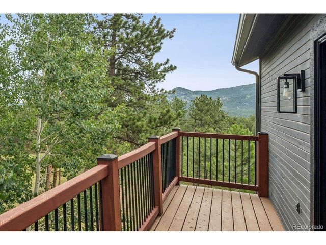 29721 Dorothy Rd, Evergreen, CO 80439