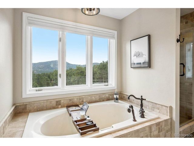 29721 Dorothy Rd, Evergreen, CO 80439