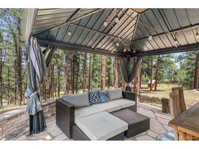 29721 Dorothy Rd, Evergreen, CO 80439