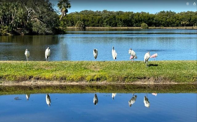 6499 99TH WAY N 18B, St Petersburg, FL 33708