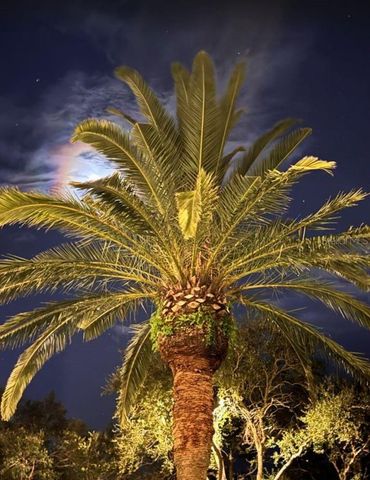 6499 99TH WAY N 18B, St Petersburg, FL 33708