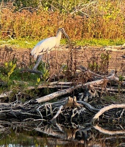 6499 99TH WAY N 18B, St Petersburg, FL 33708