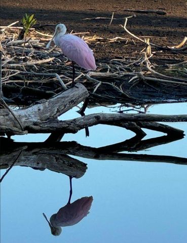 6499 99TH WAY N 18B, St Petersburg, FL 33708