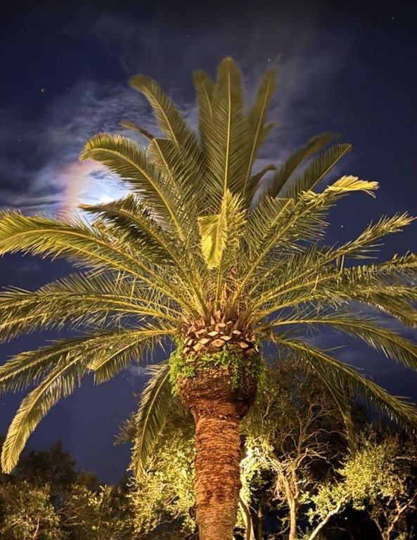 Image 79 of property listing at 6499 99TH WAY N 18B, St Petersburg, FL 33708