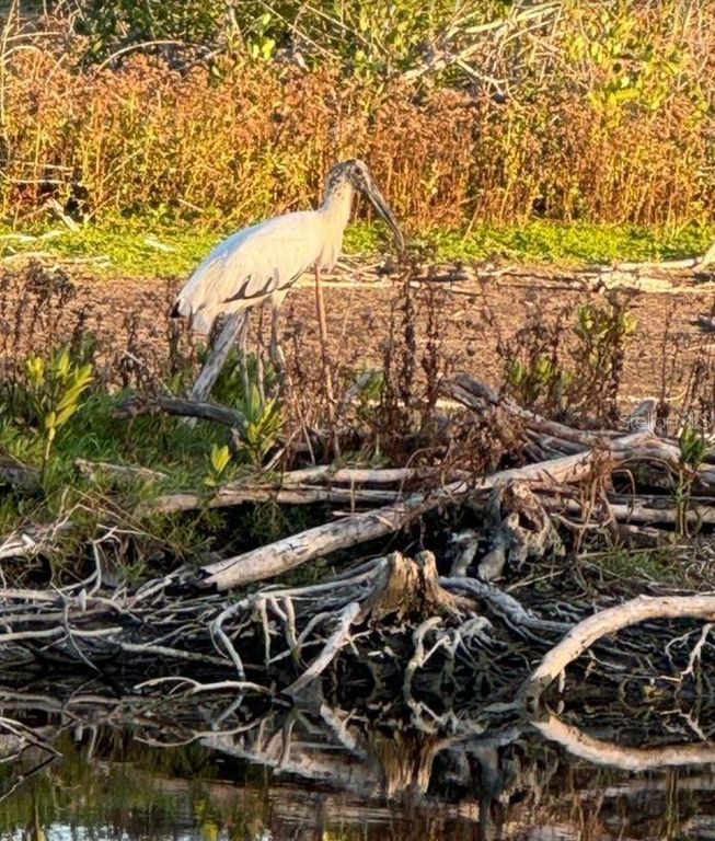 Image 83 of property listing at 6499 99TH WAY N 18B, St Petersburg, FL 33708