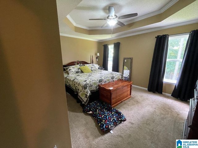 15553 DON ANDERSON PARKWAY, Brookwood, AL 35444