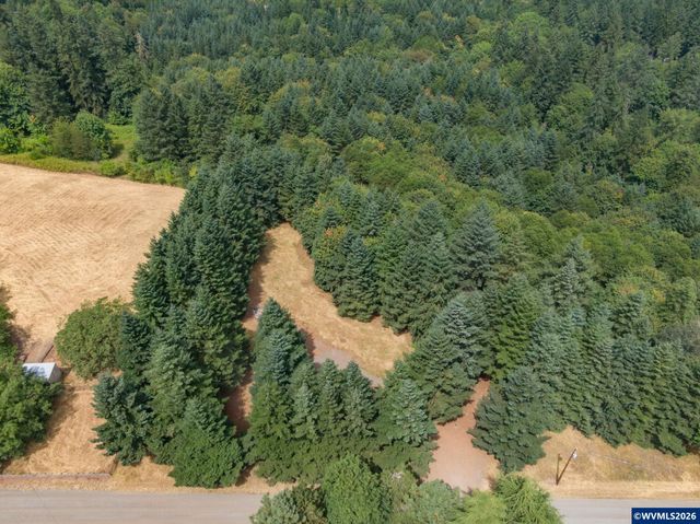 19601 NE Trunk Rd, Dundee, OR 97115