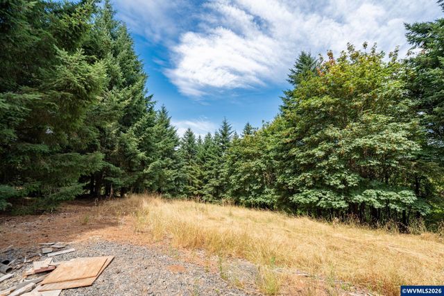 19601 NE Trunk Rd, Dundee, OR 97115