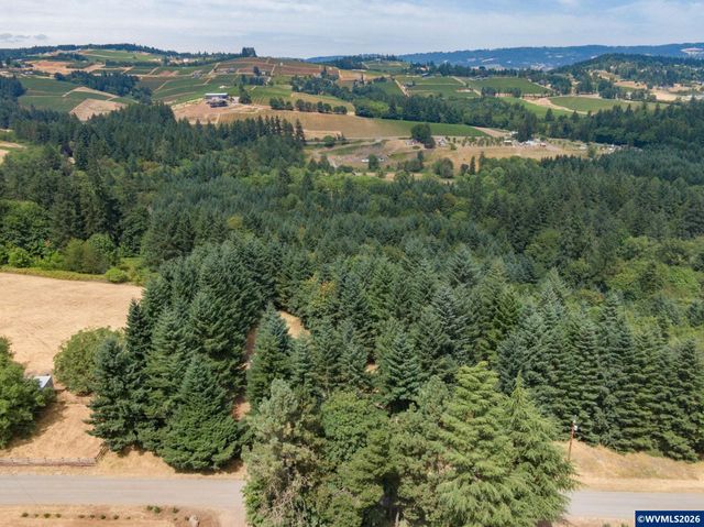 19601 NE Trunk Rd, Dundee, OR 97115