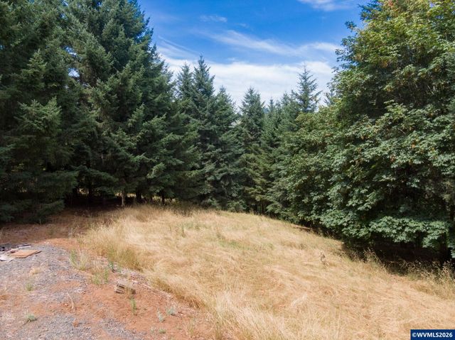 19601 NE Trunk Rd, Dundee, OR 97115