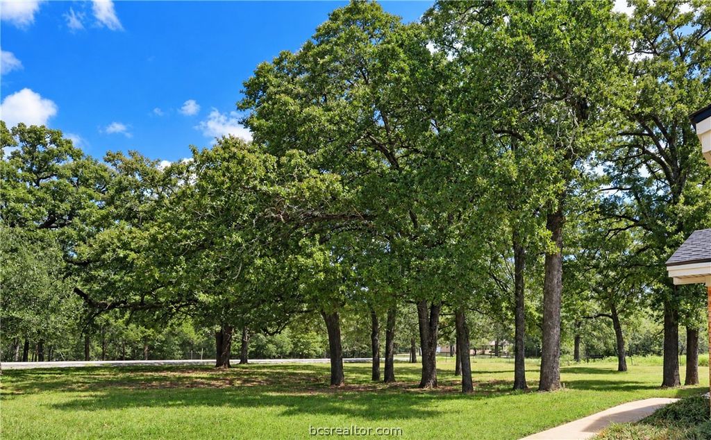 4728 Enchanted Oaks Drive, College Station, TX 77845 — photo 3