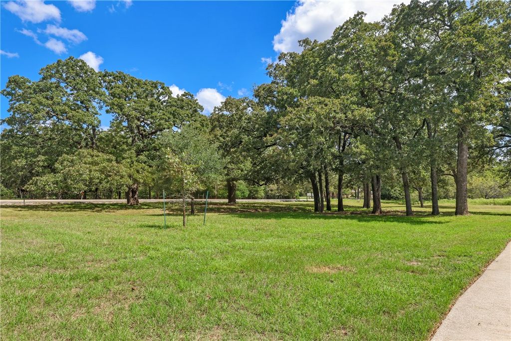 4728 Enchanted Oaks Drive, College Station, TX 77845 — photo 4