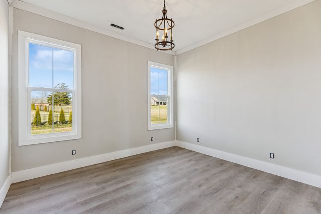 374 Chestnut Oak Avenue, Smithville, TN 37166