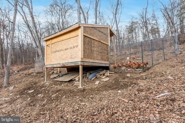 1238 LOGGER DR, Gore, VA 22637