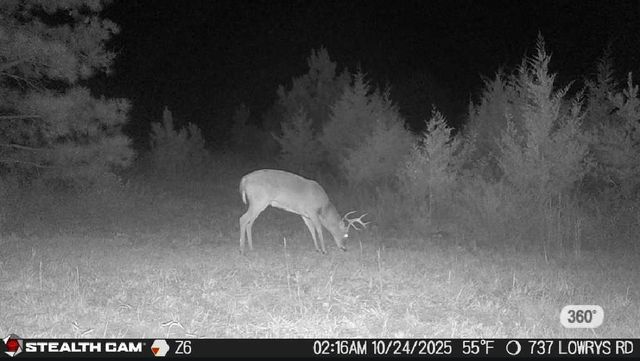 737 Lowrys Road, Gaffney, SC 29340