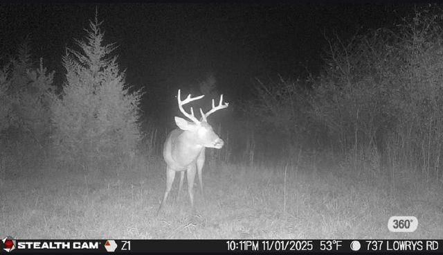 737 Lowrys Road, Gaffney, SC 29340