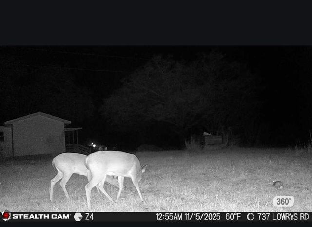 737 Lowrys Road, Gaffney, SC 29340