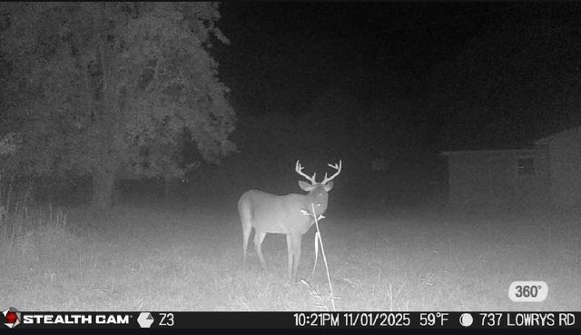 737 Lowrys Road, Gaffney, SC 29340