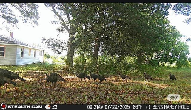 737 Lowrys Road, Gaffney, SC 29340